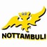 logo Nottambuli